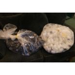 2 Bags of assorted plastic film cannisters