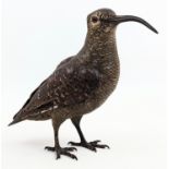 An early 20th century Austrian cold painted bronze model of a woodcock or curlew attributed to Franz