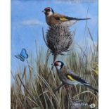 Mark Chester b.1960 Wildlife artist. 'Goldfinches & Chalkhill Blue' Watercolour to bottom rightl