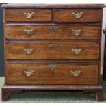 Georgian Oak Batchelors chest of drawers 2 over 3 on bracket feet with brass drop handles. 81cm wide