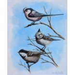 Mark Chester b.1960 Wildlife artist. 'Coal, Crested and Longtailed Tits' Watercolour signed in