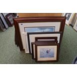 Mark Chester Wildlife Artist FWAS Collection of Seven Prints of a Woodpecker, Puffins and Curlew