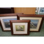 Mark Chester Wildlife Artist FWAS Collection of 3 Signed Prints of a Woodpecker, Puffins and Curlew