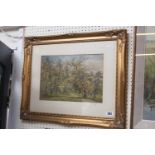 W Nicholls Watercolour of a woodland scene in Gilt gesso frame