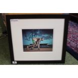 Usain Bolt Signed Photographic Print framed and mounted. 42 x 49cm