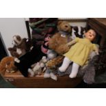Collection of assorted Collectors Teddies inc Steiff Leopard, Charlie Bear etc
