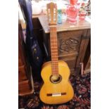 Vincente Sanchris Spanish Guitar in sleeve