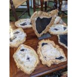 Collection of Triassic period Petrified wood sections 8 average at 30cm in Diameter