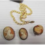 Three cameos and a pearl necklace with 9ct gold clasp