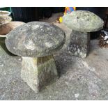 Two mushroom shaped saddle stones