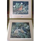 Shirley Deaville - pair of signed Artist's Proofs birds Wild Strawberries 'Young Robins' and 'In