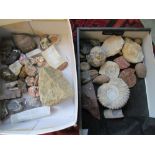 Various agate and other stones and fossils
