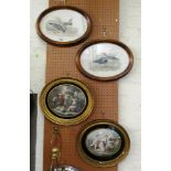 A pair of prints; 'Green Lapwing or Peewit, 'Dusky Totanus' in oval frames and pair of oval prints