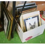 Jon Caldecourt - various framed and unframed prints and drawings, animals mostly dogs