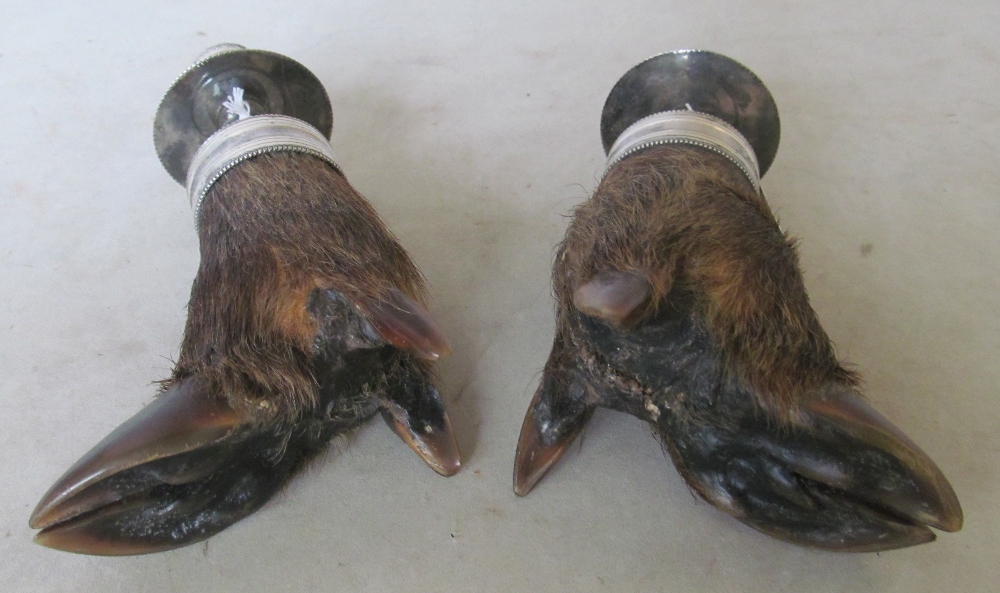 A pair of Wild Boar hooves made into candlesticks with plated sconces - Image 2 of 3