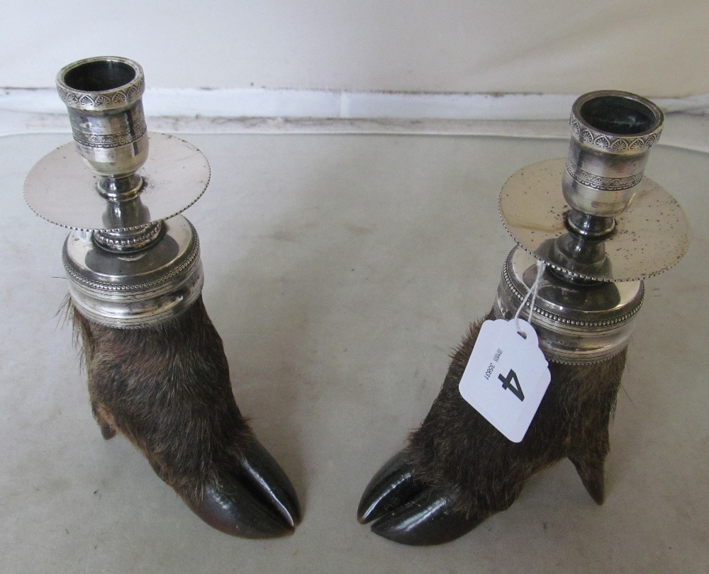 A pair of Wild Boar hooves made into candlesticks with plated sconces - Image 3 of 3