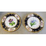 A 19th Century Coalport dessert set; six plates and two serving plates each handpainted different