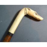 A Walking Cane, the handle carved in the form of a dog's head