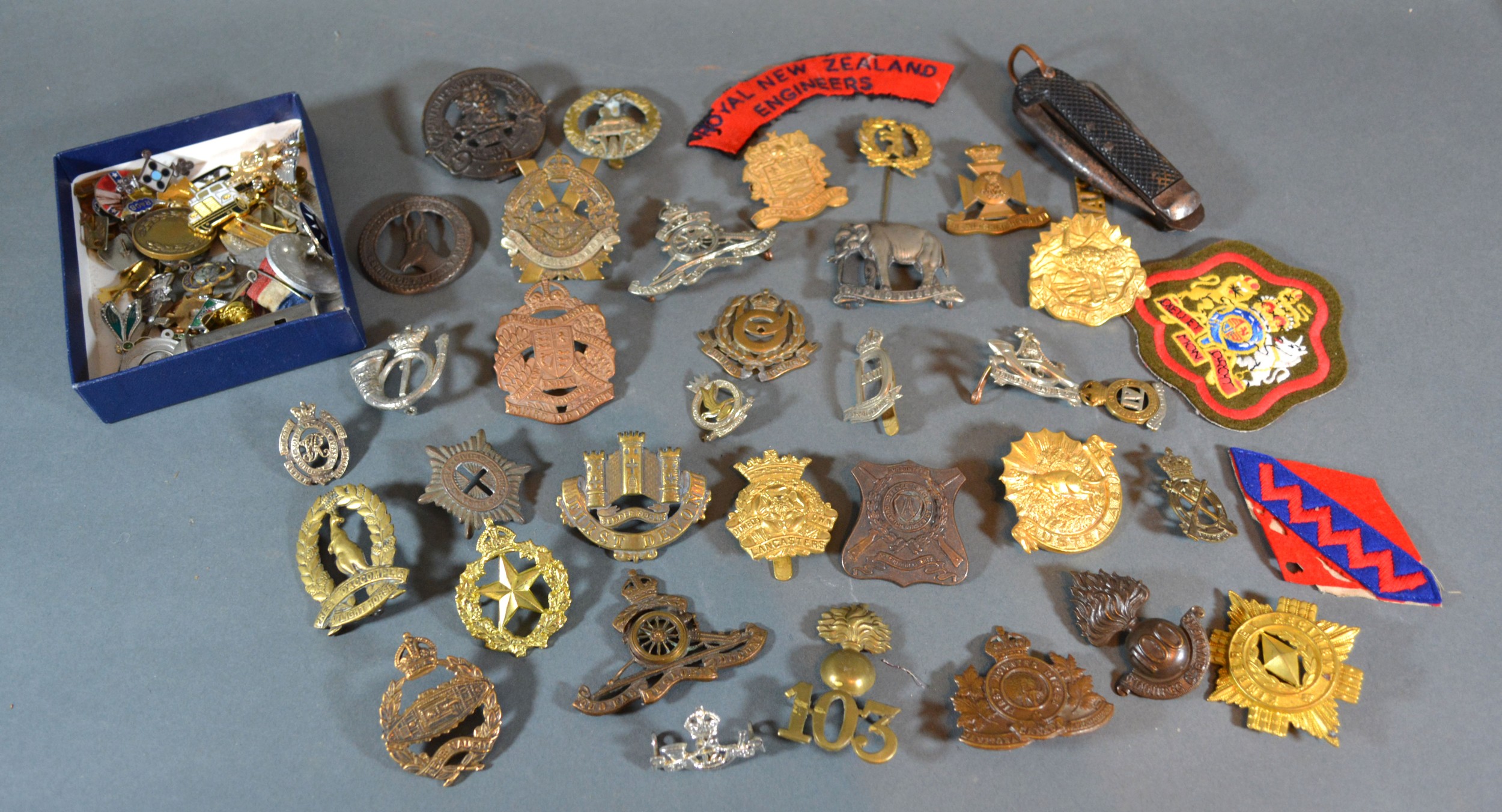 A Collection of Cap Badges and Cloth Military Badges