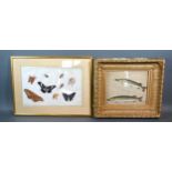 A Chinese Watercolour On Rice Paper depicting insects and butterflies together with a watercolour of