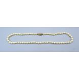 A Cultured Pearl Necklace with 9ct. gold clasp 41 cms long