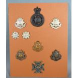 A Collection Of Nine East Surrey Cap Badges