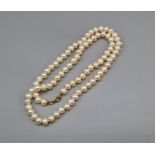 A cultured pearl necklace with 9ct clasp, 46cms long