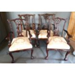 A Pair of Chippendale Style Armchairs, each with a pierced splat back above a stuff over seat raised