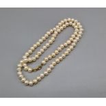 A cultured pearl necklace with 9ct clasp, 46cms long together with a ladies gold plated watch by
