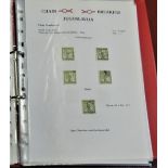 Jugoslavia 1919-1920 (Specialised) Issues for Slovenia collection with neatly printed descriptive