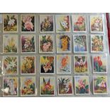 Carreras Ltd Orchids cigarette cards, 1925 Set L24/L24 VGC