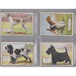 Ardath Tobacco Co Ltd Champion Dogs, 1934 set X25/X25 cigarette cards, VGC features Great Dane,