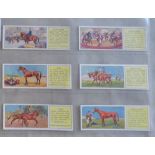 Typhoo Tea Ltd 2 Sets animals, Zoo 1934 set 25/25 cards and Horses 1935 set T25/25 cards, VGC