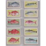 United Tob Cos (South) Ltd South Africa African Fish, 1937 set 50/50 cards VGC