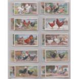 Ogdens Poultry 1915 (A series) 20/25 cards (Ogdens on front of card) VGC and 1915 Poultry 2nd Series