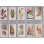 Ogdens Ltd Colours in Nature 1932 set 50/50 cards VGC