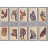 United Tobacco Cos South Ltd (S Africa) Wild Animals of the World 1932 set 50/50 set cards, VGC
