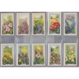 Gallaher Ltd (2 sets) 2 wild flowers 1939 series 48/48 cards, VGC