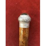 Rare German wooden walking stick with un-screwable cap and hollow stem (empty), white metal cap with