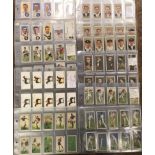 John Player & Sons 10 sets of cards, (not checked), sport related cards, very good condition,