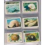 Shell Trading Cards Discover Australia with Shell, 60 cards. Good condition