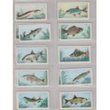 Badshah Tea Co London Fish & Bait cards, 1971 set 25/25, colour drawings of fish species carp,