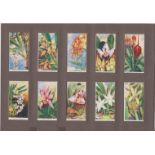 Carreras Orchids Full Set, flowers, VGC