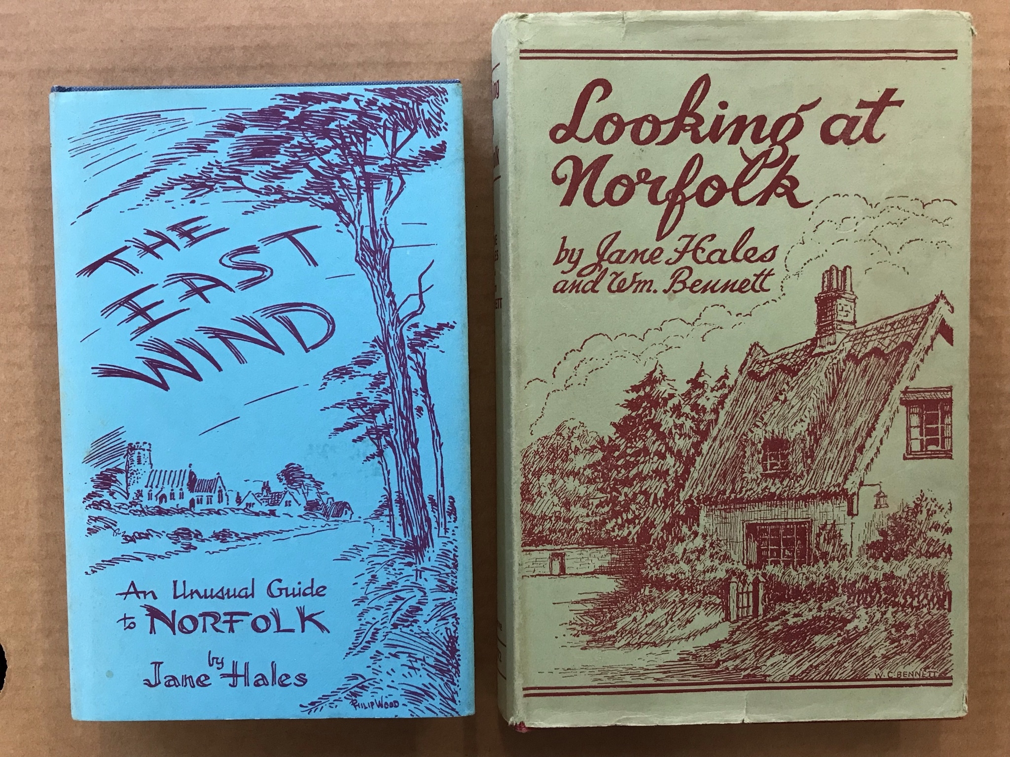 Norfolk Interest Books x 2 An Unusual Guide to Norfolk Jane Hales 1982 and Looking at Norfolk Jane