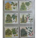 Players & Wills Large Cards 10 sets, VGC, Inc. Horses, Zoo Babies, Sporting Personalities, Old