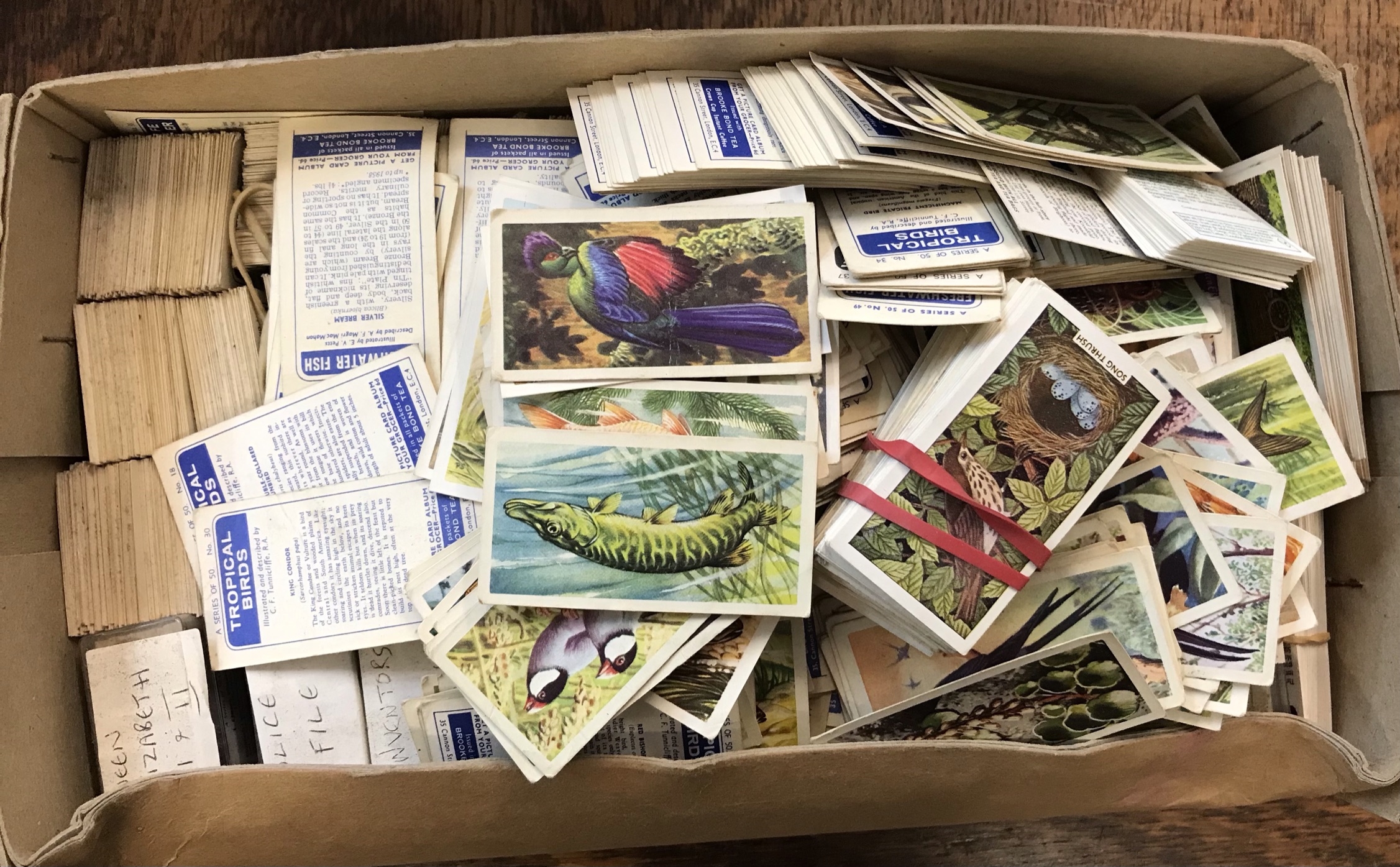 Brooke Bond Tea, Loose cards, 1000+, good condition, varied subjects, heavy item buyer collects