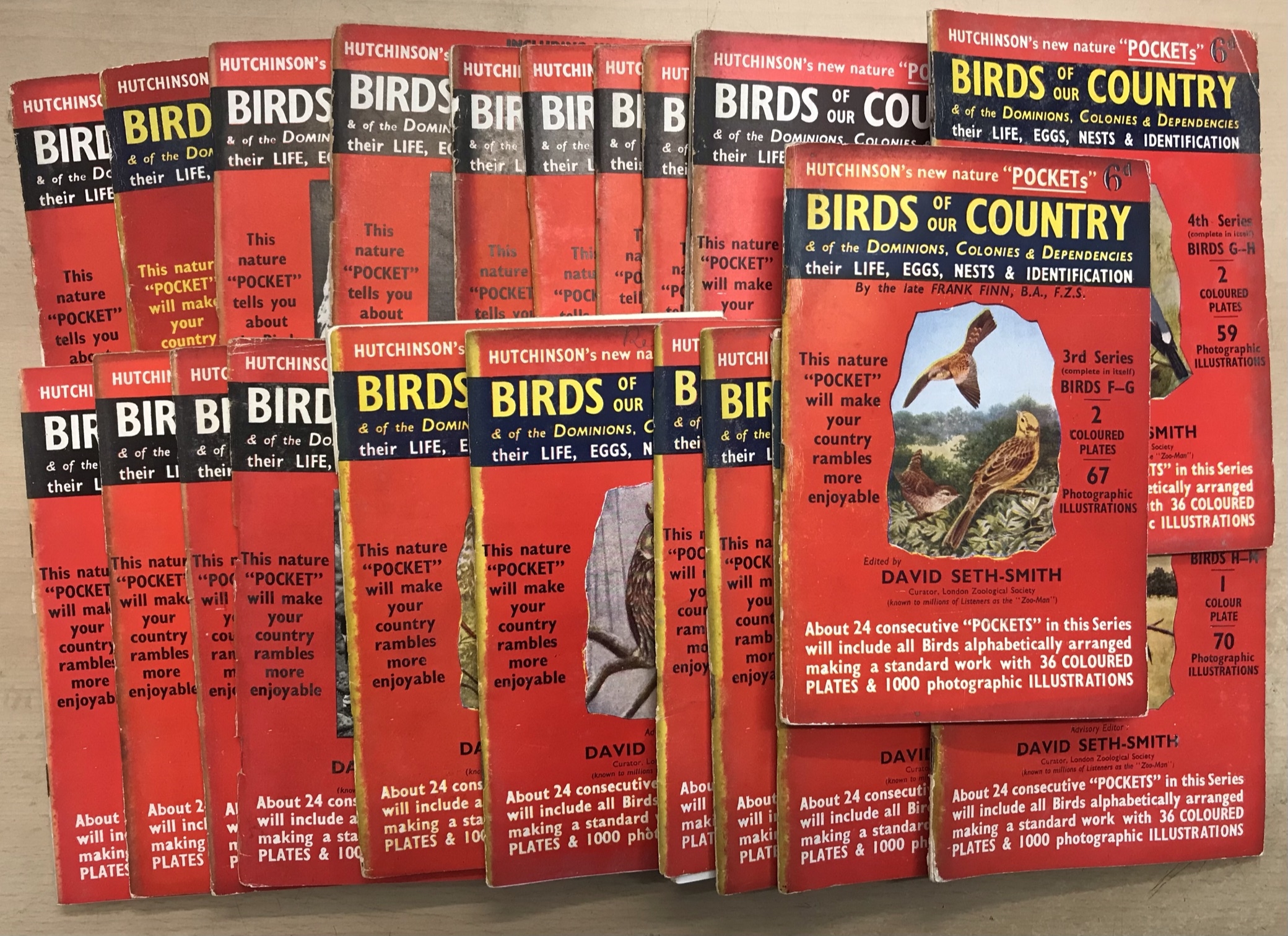 Birds of our Country Hutchinsons new nature Pockets Birds of our Country 23 booklets vintage some