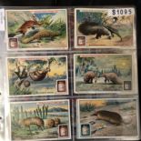 Liebig 5 Full sets, Nos 1095, 1096, 1097, 1099, 1100 VGC