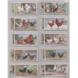 Ogdens Ltd 5 Sets (not complete) Poultry 1915 (A Series) 20/25 Cards. British Birds (2nd Series)