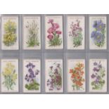 WD & HO Wills 3 Full Sets, Wild Flowers 1936 and Alpine Flowers 1913.VGC